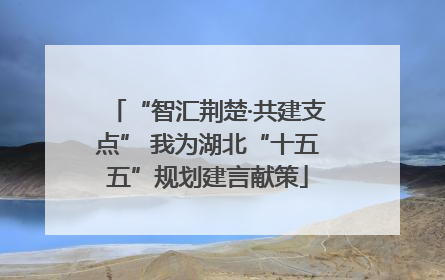 “智汇荆楚·共建支点” 我为湖北“十五五”规划建言献策