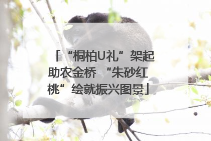 “桐柏U礼”架起助农金桥 “朱砂红桃”绘就振兴图景