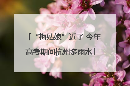 “梅姑娘”近了 今年高考期间杭州多雨水
