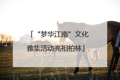 “梦华江南”文化雅集活动亮相柏林