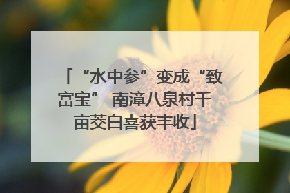 “水中参”变成“致富宝” 南漳八泉村千亩茭白喜获丰收