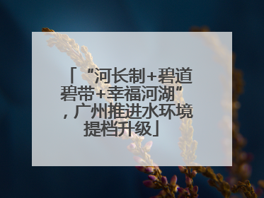 “河长制+碧道碧带+幸福河湖”，广州推进水环境提档升级