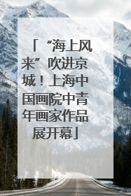 “海上风来”吹进京城！上海中国画院中青年画家作品展开幕