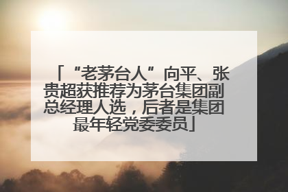 “老茅台人”向平、张贵超获推荐为茅台集团副总经理人选，后者是集团最年轻党委委员