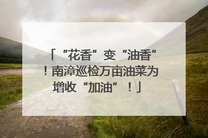“花香”变“油香”！南漳巡检万亩油菜为增收“加油”！