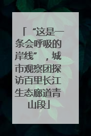 “这是一条会呼吸的岸线”，城市观察团探访百里长江生态廊道青山段