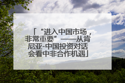 “进入中国市场，非常重要”——从肯尼亚-中国投资对话会看中非合作机遇