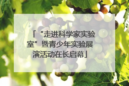 “走进科学家实验室”暨青少年实验展演活动在长启幕