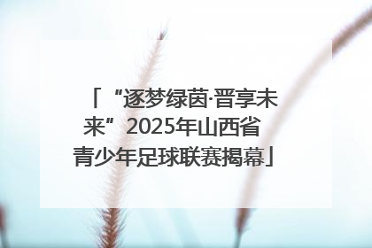 “逐梦绿茵·晋享未来”2025年山西省青少年足球联赛揭幕