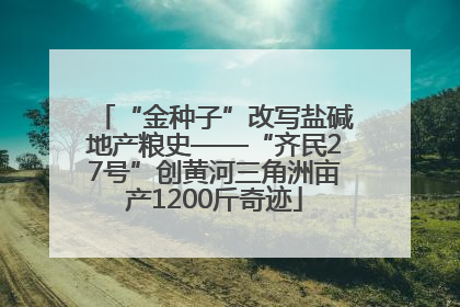 “金种子”改写盐碱地产粮史——“齐民27号”创黄河三角洲亩产1200斤奇迹
