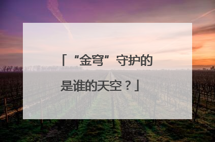 “金穹”守护的是谁的天空？