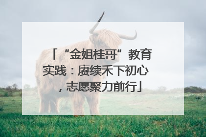 “金姐桂哥”教育实践：赓续禾下初心，志愿聚力前行