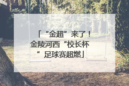 “金超”来了！金陵河西“校长杯”足球赛超燃