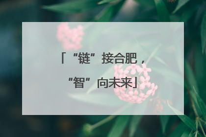 “链”接合肥，“智”向未来