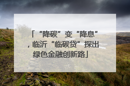 “降碳”变“降息”，临沂“临碳贷”探出绿色金融创新路