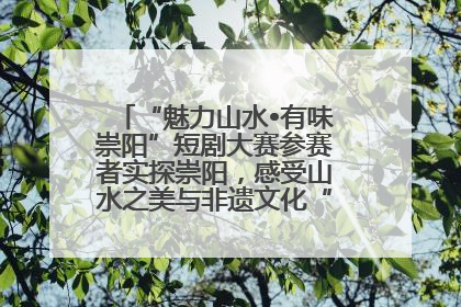 “魅力山水•有味崇阳”短剧大赛参赛者实探崇阳，感受山水之美与非遗文化“提琴戏”魅力