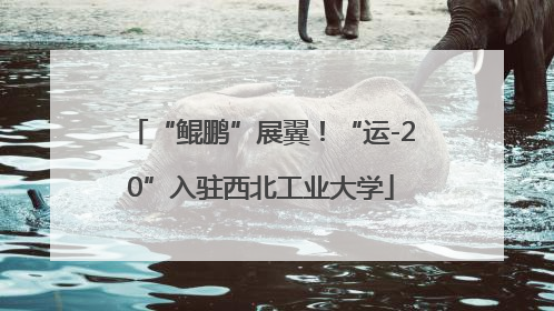 “鲲鹏”展翼！“运-20”入驻西北工业大学