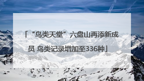 “鸟类天堂”六盘山再添新成员 鸟类记录增加至336种