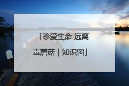 珍爱生命 远离毒蘑菇｜知识窗
