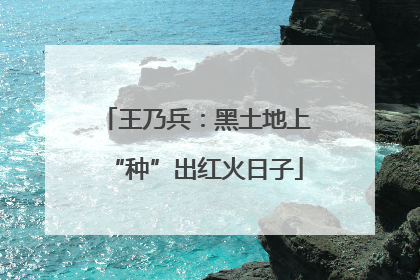 王乃兵：黑土地上“种”出红火日子