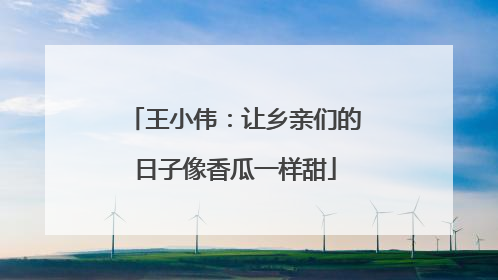 王小伟：让乡亲们的日子像香瓜一样甜