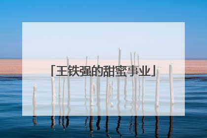 王铁强的甜蜜事业