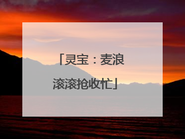 灵宝：麦浪滚滚抢收忙