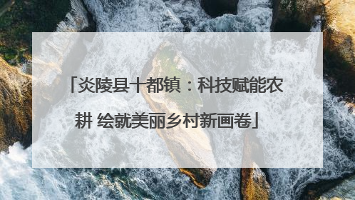 炎陵县十都镇：科技赋能农耕 绘就美丽乡村新画卷