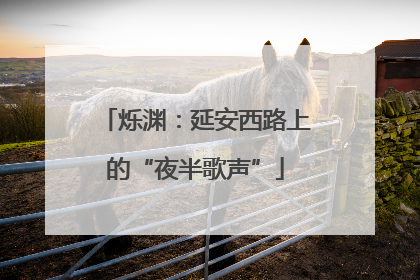 烁渊：延安西路上的“夜半歌声”