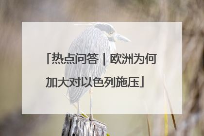 热点问答｜欧洲为何加大对以色列施压