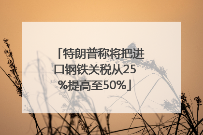 特朗普称将把进口钢铁关税从25%提高至50%