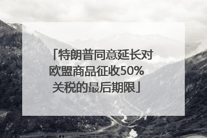特朗普同意延长对欧盟商品征收50%关税的最后期限