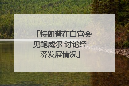 特朗普在白宫会见鲍威尔 讨论经济发展情况