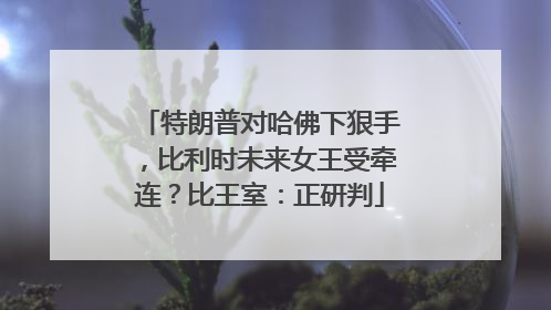 特朗普对哈佛下狠手，比利时未来女王受牵连？比王室：正研判