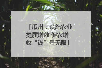 瓜州：设施农业提质增效 促农增收“钱”景无限