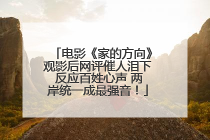 电影《家的方向》观影后网评催人泪下 反应百姓心声 两岸统一成最强音！