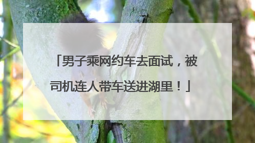 男子乘网约车去面试，被司机连人带车送进湖里！