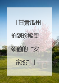 甘肃瓜州拍到珍稀黑颈鹤的“安家照”