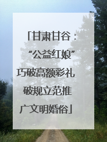 甘肃甘谷：“公益红娘”巧破高额彩礼 破规立范推广文明婚俗