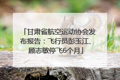 甘肃省航空运动协会发布报告：飞行员彭玉江、顾志敏停飞6个月
