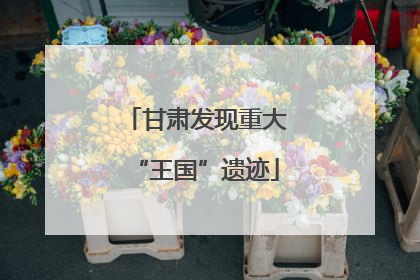 甘肃发现重大“王国”遗迹