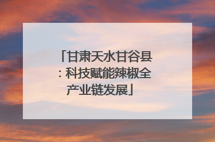 甘肃天水甘谷县：科技赋能辣椒全产业链发展