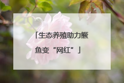 生态养殖助力鳜鱼变“网红”