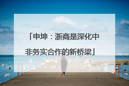 申坤：浙商是深化中非务实合作的新桥梁