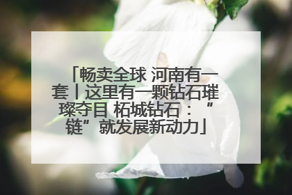 畅卖全球 河南有一套丨这里有一颗钻石璀璨夺目 柘城钻石：“链”就发展新动力