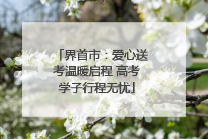 界首市：爱心送考温暖启程 高考学子行程无忧