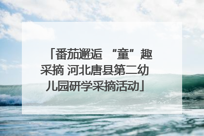 番茄邂逅 “童”趣采摘 河北唐县第二幼儿园研学采摘活动