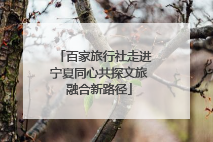 百家旅行社走进宁夏同心共探文旅融合新路径