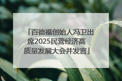 百德福创始人冯卫出席2025民营经济高质量发展大会并发言