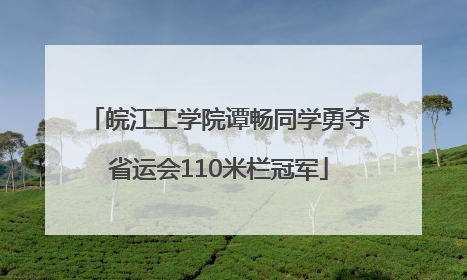 皖江工学院谭畅同学勇夺省运会110米栏冠军